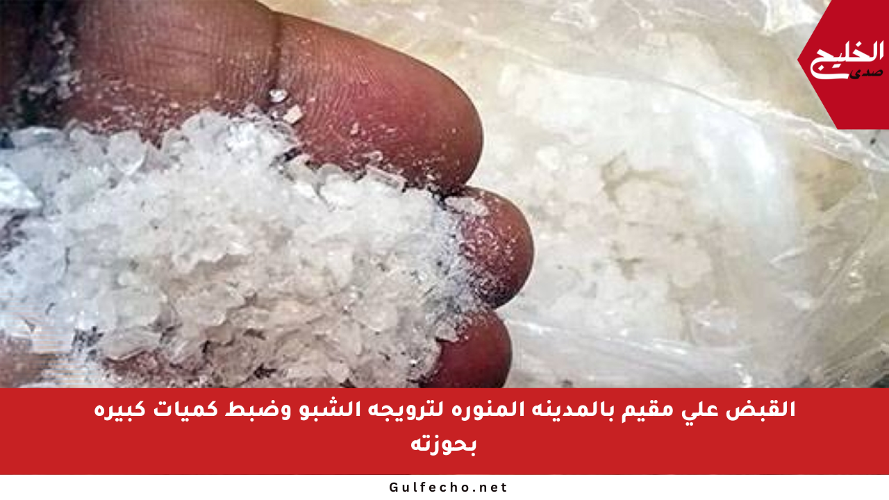 القبض على مقيم بالمدينة المنورة لترويجه الشبو وضبط كميات كبيرة بحوزته